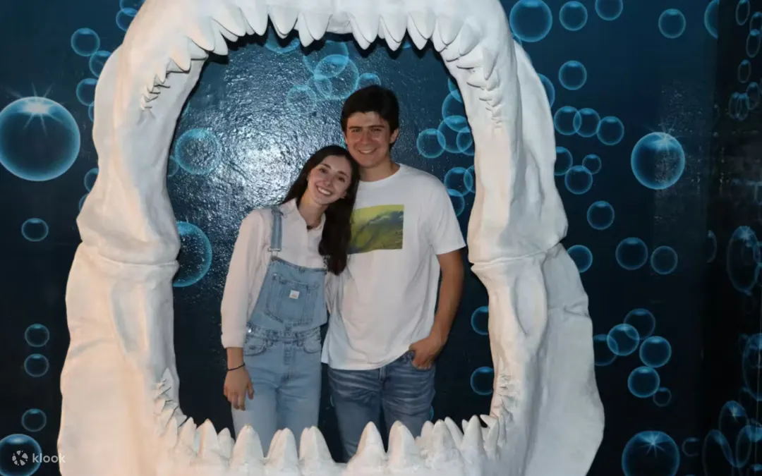 Michin Aquarium Guadalajara Ticket - Image 2 of 5