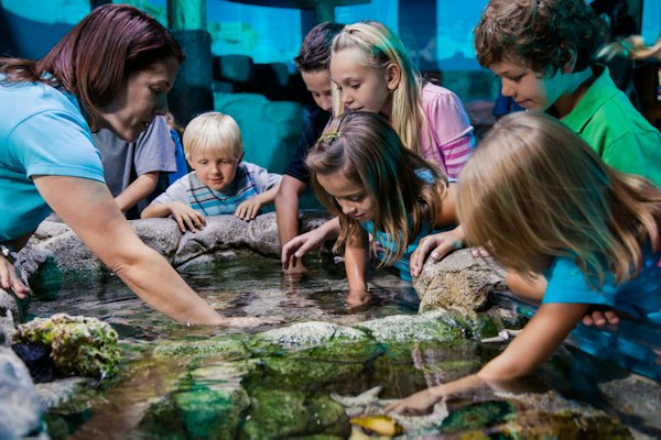 Go City Orlando Pass Tutto Incluso - Activity gallery image Go City Orlando Pass Tutto Incluso - Immagine 1 di 5