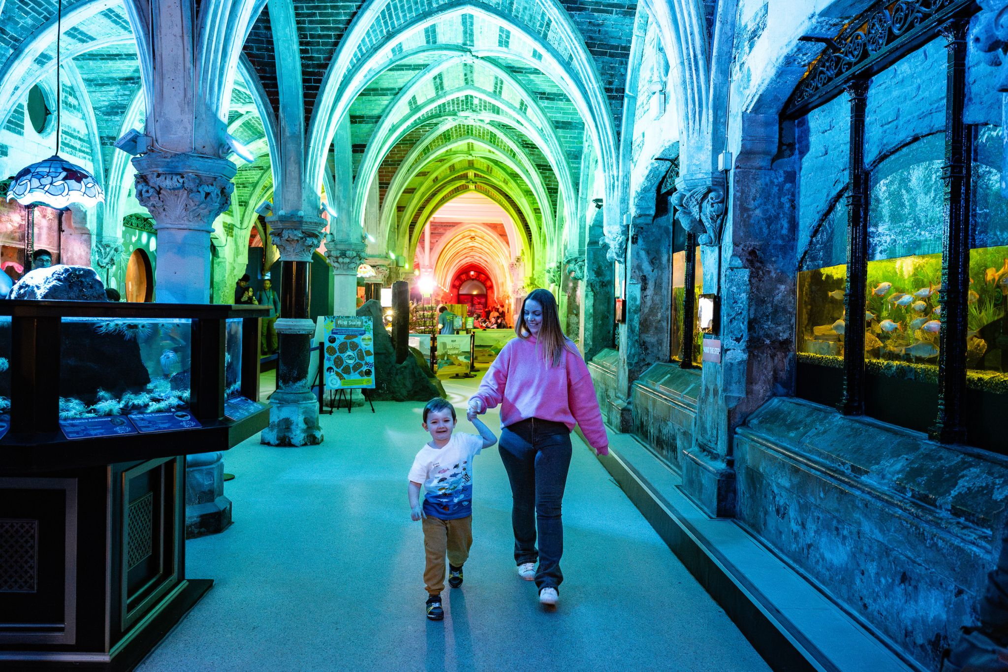 SEA LIFE Brighton - Explore the world’s oldest aquarium with 5,500 marine animals in Victorian architecture. Discover sharks, turtles, and coral reef displays. SEA LIFE Brighton - Image 1 of 5
