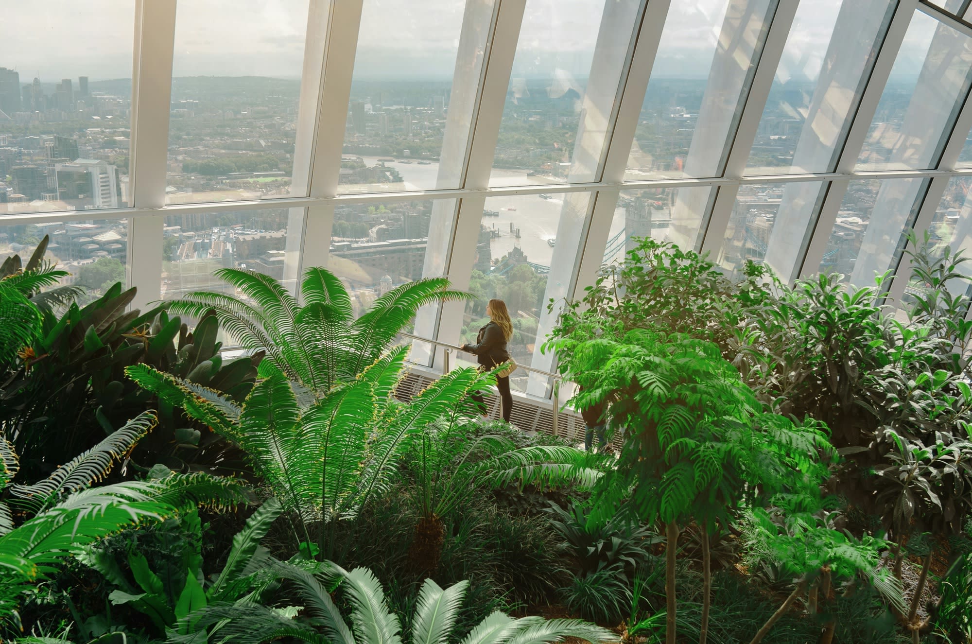Sky Garden London - Visit Sky Garden in London early and enjoy panoramic city views with a breakfast pastry, hot drink, and an audio guide in multiple languages. Sky Garden London - Image 2 of 5