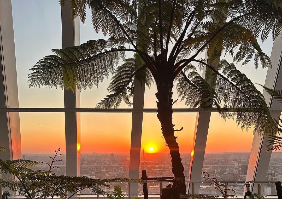 Sky Garden London - Visit Sky Garden in London early and enjoy panoramic city views with a breakfast pastry, hot drink, and an audio guide in multiple languages. Sky Garden London - Image 5 of 5