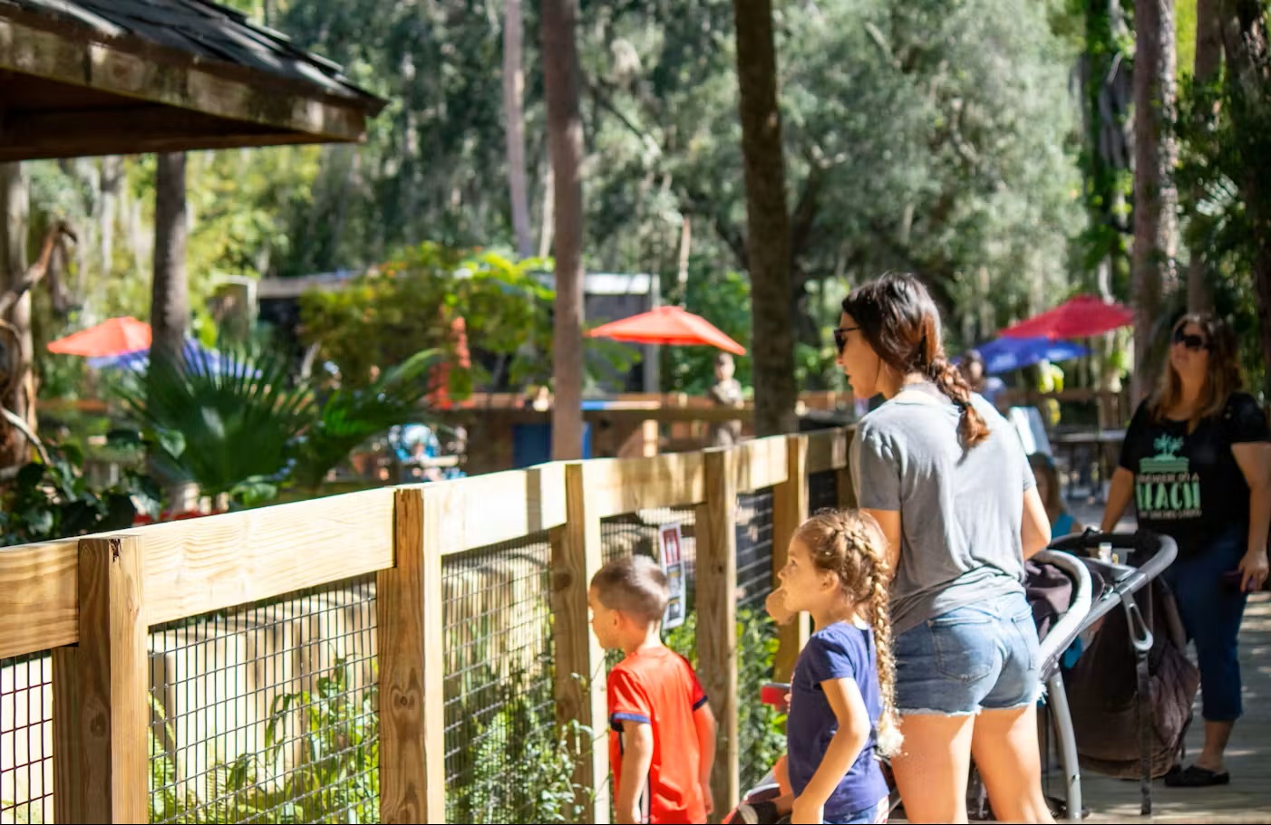 Central Florida Zoo & Botanical Gardens - Image 3 of 5