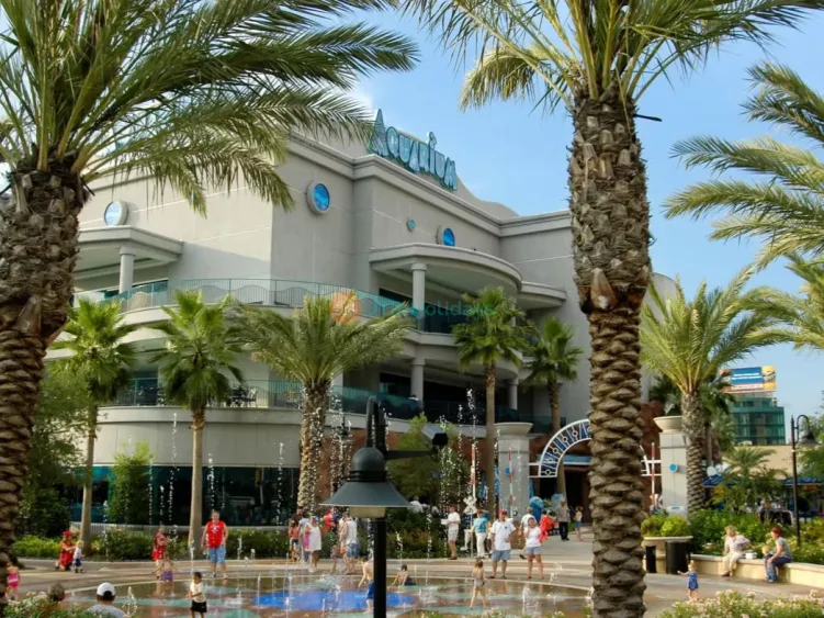 Downtown Aquarium Houston