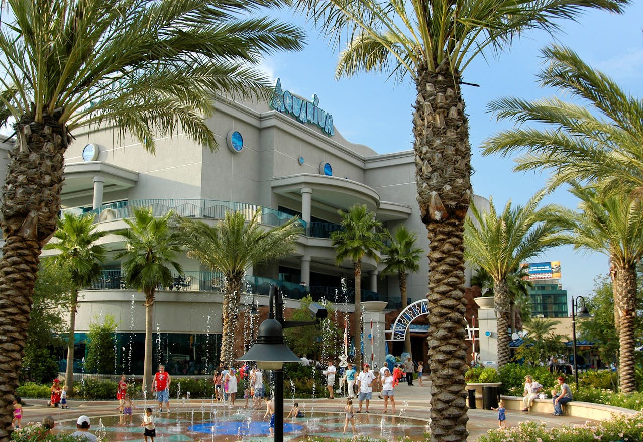 Downtown Aquarium Houston - Visita Downtown Aquarium Houston per mostre a tema, incontri con la vita marina e giostre per famiglie tra cui una ruota panoramica e vasche tattili. Downtown Aquarium Houston - Immagine 4 di 5