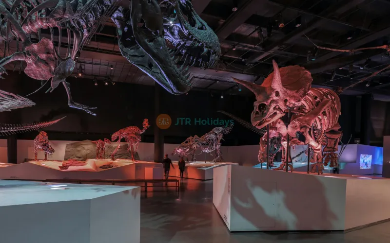 Houston Museum of Natural Science
