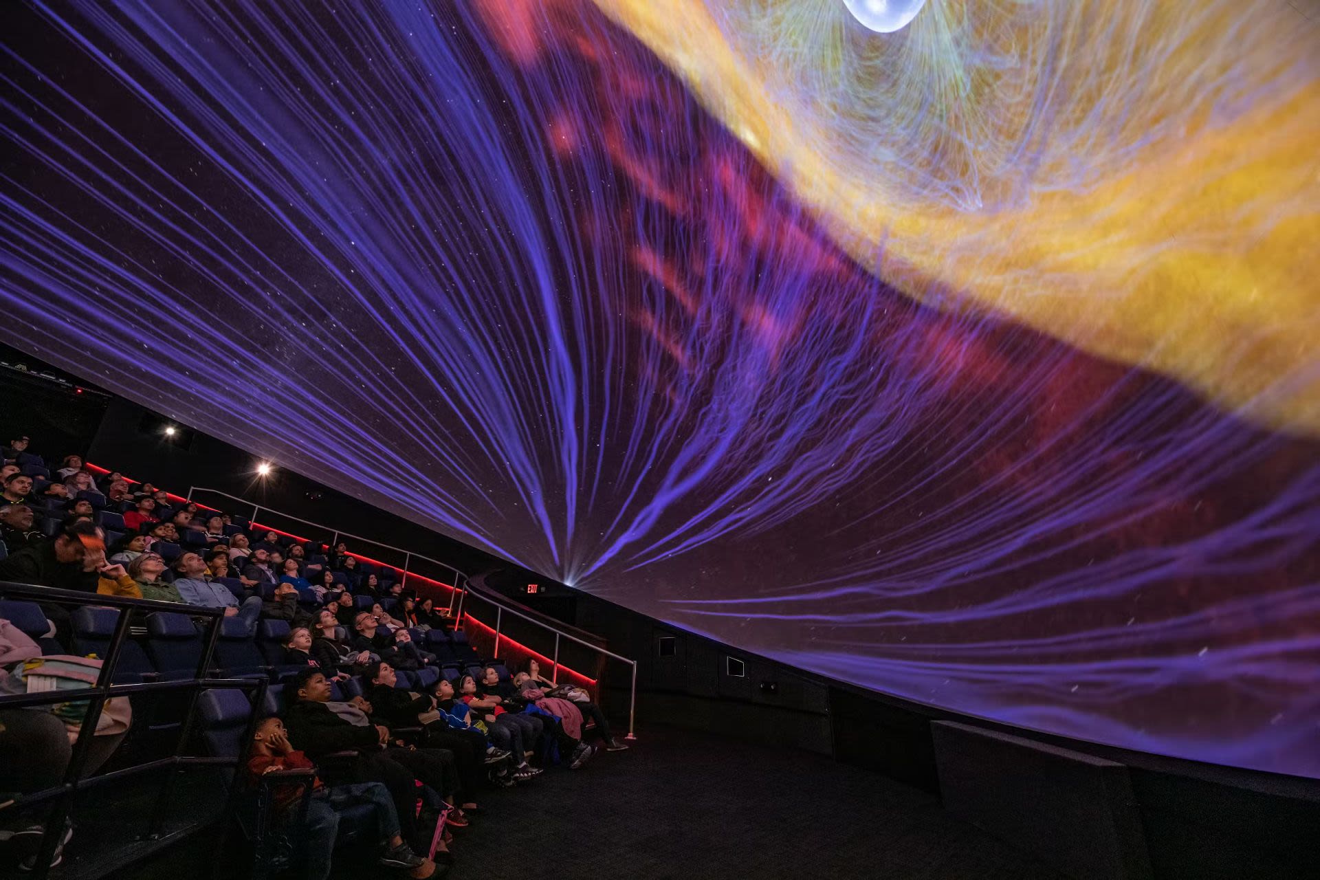 Houston Museum of Natural Science - Visit Houston's museum featuring dinosaur skeletons, space and wildlife exhibits. Admission includes entry to all permanent exhibit halls. Houston Museum of Natural Science - Image 5 of 5