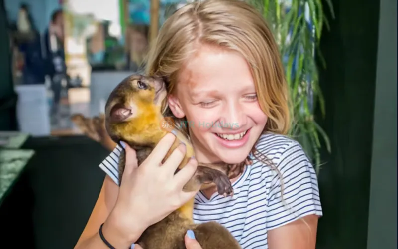 Houston Interactive Aquarium & Animal Preserve
