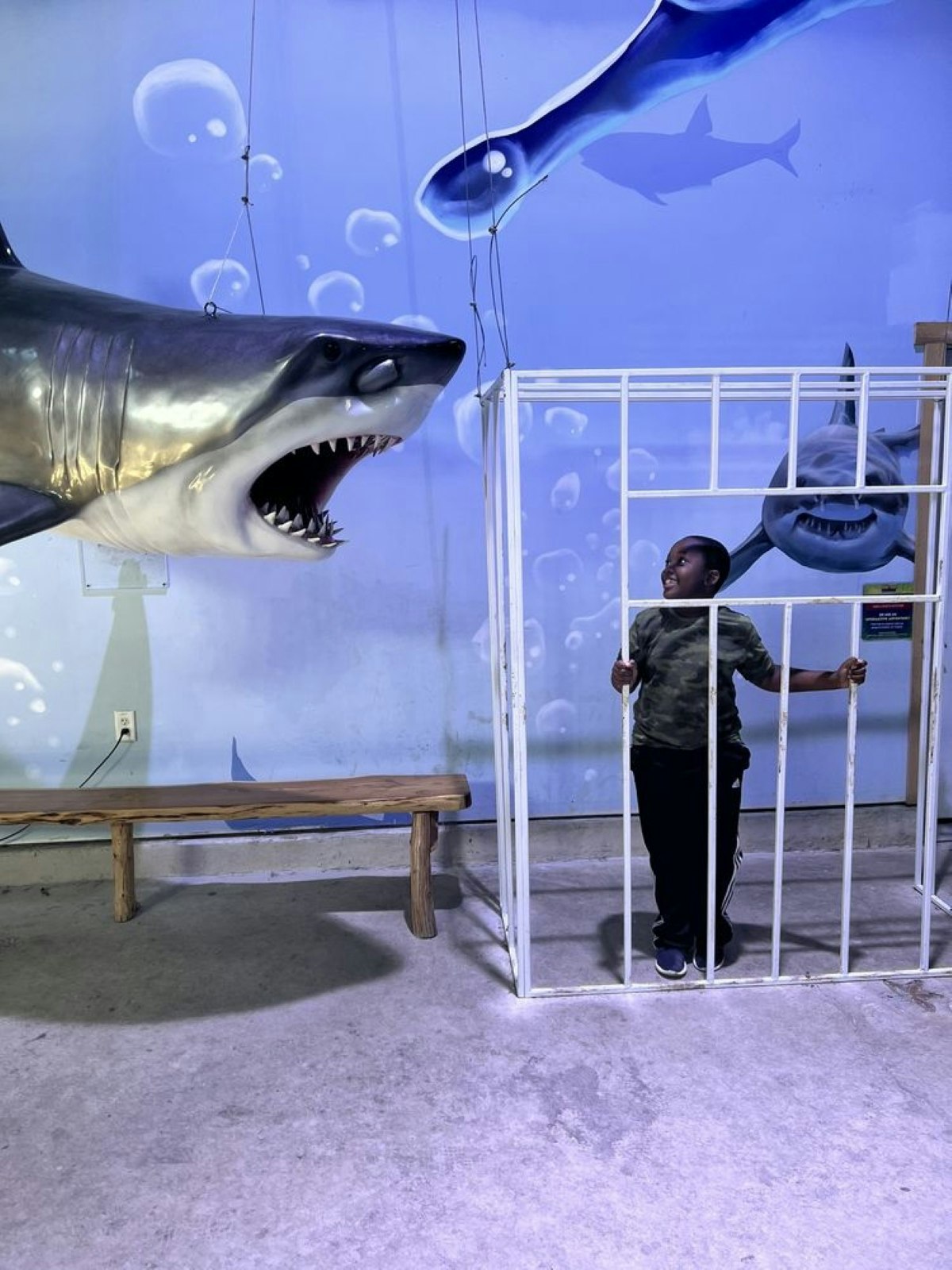 Houston Interactive Aquarium & Animal Preserve - Touch stingrays, feed birds, and explore walk-through habitats with lemurs and kangaroos at this Houston aquarium and animal preserve. Houston Interactive Aquarium & Animal Preserve - Image 3 of 5