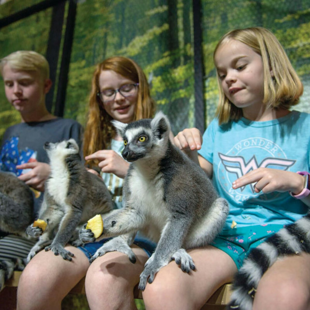 Houston Interactive Aquarium & Animal Preserve - Touch stingrays, feed birds, and explore walk-through habitats with lemurs and kangaroos at this Houston aquarium and animal preserve. Houston Interactive Aquarium & Animal Preserve - Image 4 of 5