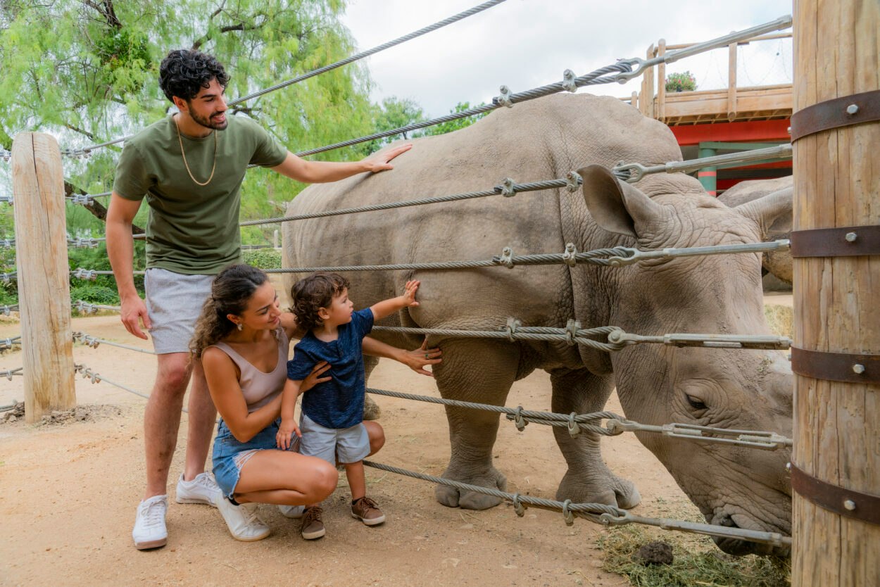 San Antonio Zoo - Immagine 5 di 5