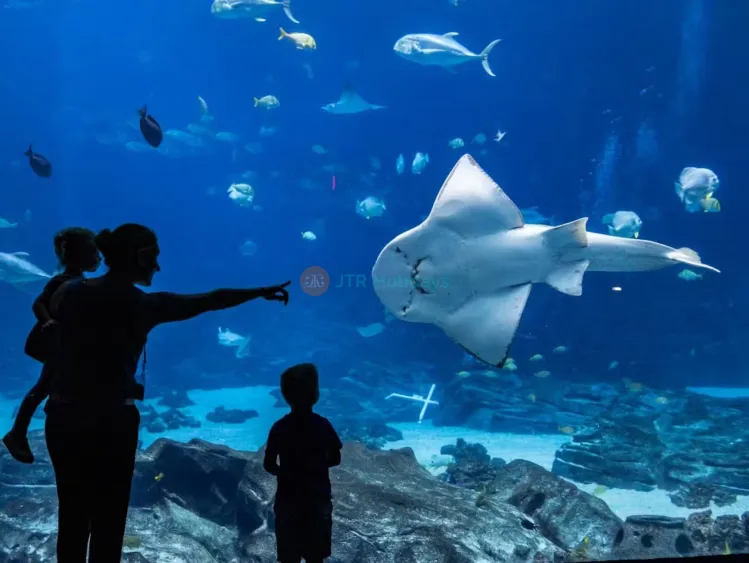 Georgia Aquarium Atlanta