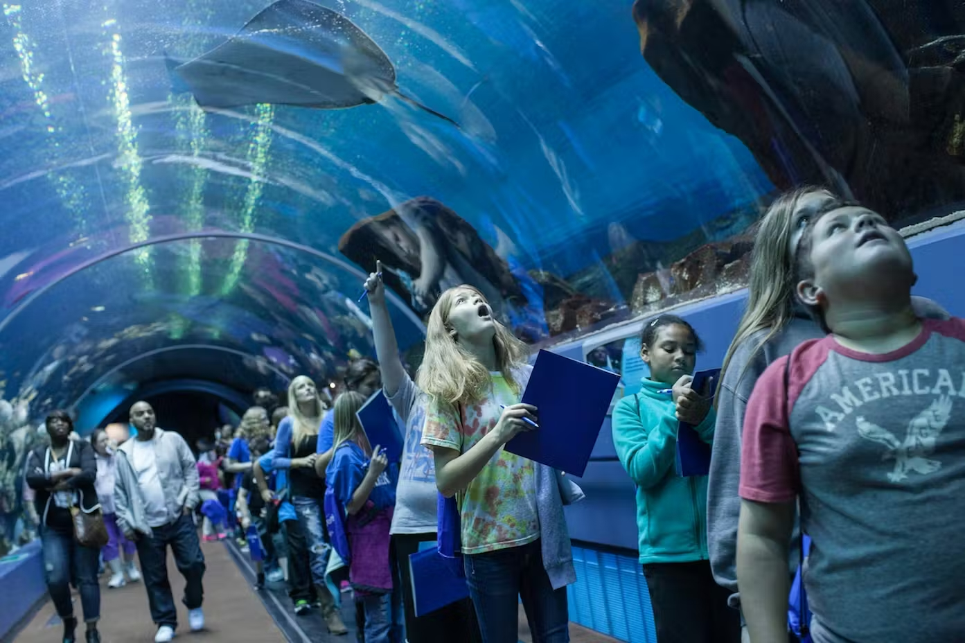 Georgia Aquarium Atlanta - Salta le file per i biglietti ed esplora diverse gallerie marine tra cui squali, tartarughe marine e delfini al Georgia Aquarium di Atlanta. Georgia Aquarium Atlanta - Immagine 4 di 5
