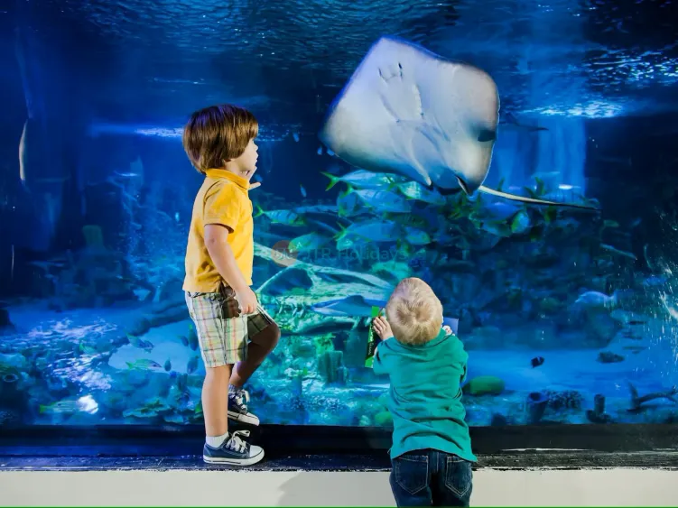 Biglietto SEA LIFE San Antonio