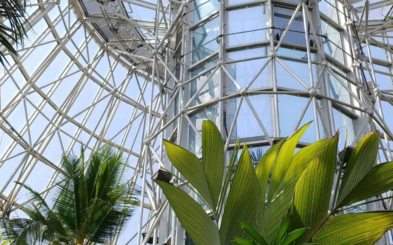 Biglietto per il San Antonio Botanical Garden - Visita il San Antonio Botanical Garden per vedere piante diverse, specie autoctone del Texas, specie in pericolo e esposizioni orticole a tema in un ambiente tranquillo. Biglietto per il San Antonio Botanical Garden - Immagine 1 di 5