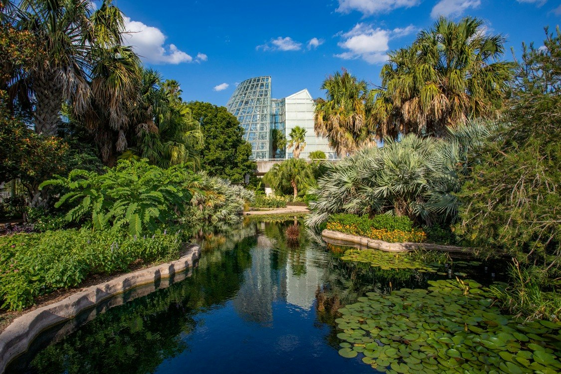 Biglietto per il San Antonio Botanical Garden - Visita il San Antonio Botanical Garden per vedere piante diverse, specie autoctone del Texas, specie in pericolo e esposizioni orticole a tema in un ambiente tranquillo. Biglietto per il San Antonio Botanical Garden - Immagine 3 di 5