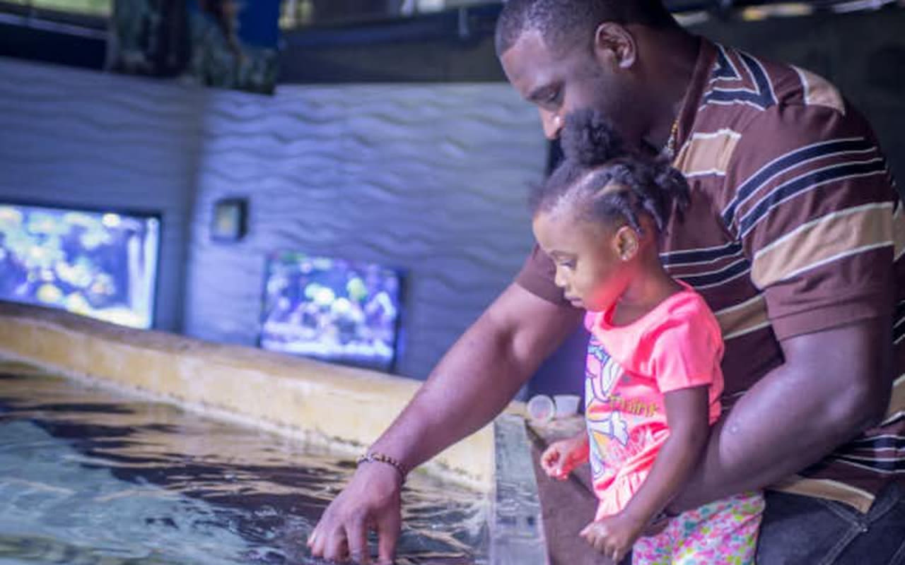 Biglietto per San Antonio Aquarium - Esplora oltre 8.000 animali tra cui vita marina, lemuri e rettili. Goditi esposizioni interattive con accesso per sedie a rotelle e rientro lo stesso giorno. Biglietto per San Antonio Aquarium - Immagine 3 di 5