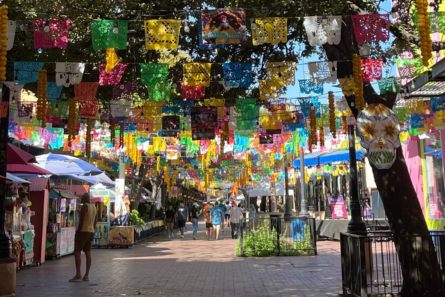Old Town Trolley Tours San Antonio Hop-On Hop-Off - Esplora San Antonio al tuo ritmo con accesso hop-on hop-off allo trolley a 12 fermate inclusi Alamo e River Walk. Goditi storie narrate mentre viaggi. Old Town Trolley Tours San Antonio Hop-On Hop-Off - Immagine 1 di 5