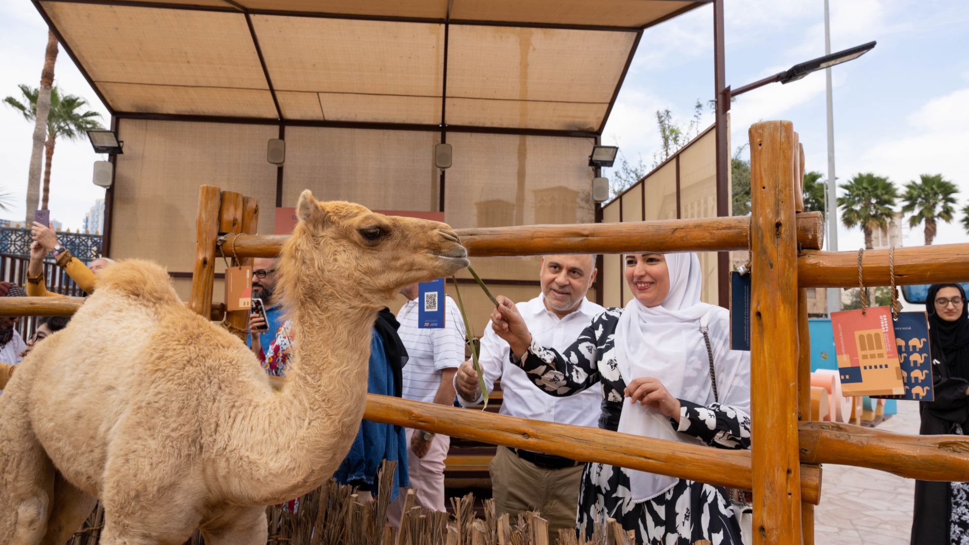 Tour Esperienza di Ospitalità Emiratina con Brunch - Esplora la storia di Dubai con narratori emiratini, visita luoghi simbolo, incontra cammelli e un falco, e gusta snack tradizionali e brunch. Tour Esperienza di Ospitalità Emiratina con Brunch - Immagine 2 di 5