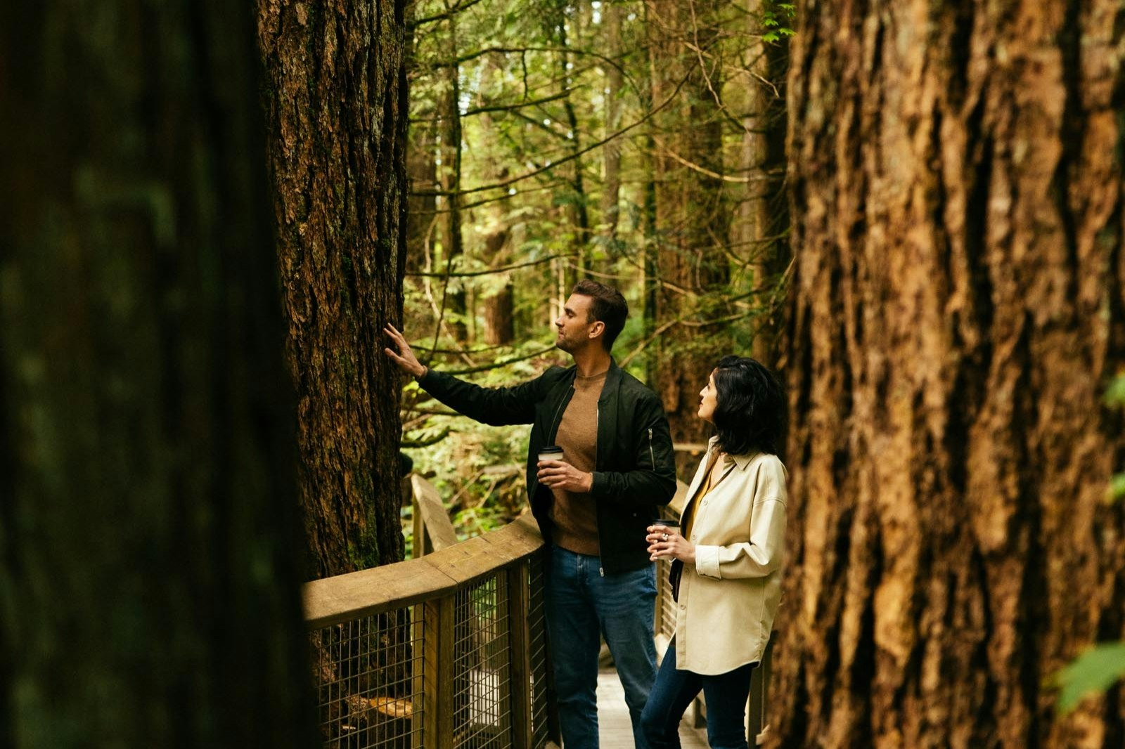 Capilano Suspension Bridge Park - Image 3 of 5