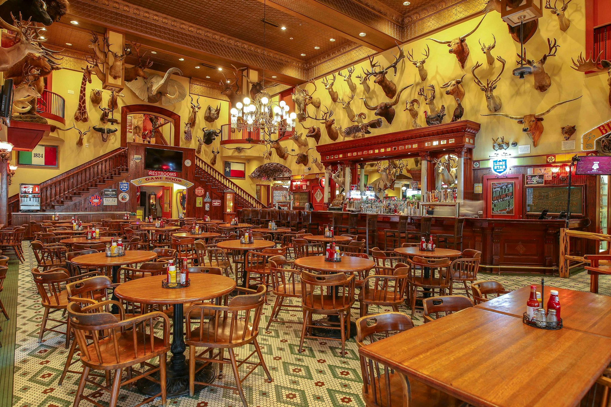 Ingresso al Buckhorn Saloon & Museum - Visita The Buckhorn Saloon & Museum a San Antonio per vedere animali esotici, il Texas Ranger Museum e goderti lo storico saloon e caffè. Ingresso al Buckhorn Saloon & Museum - Immagine 1 di 5
