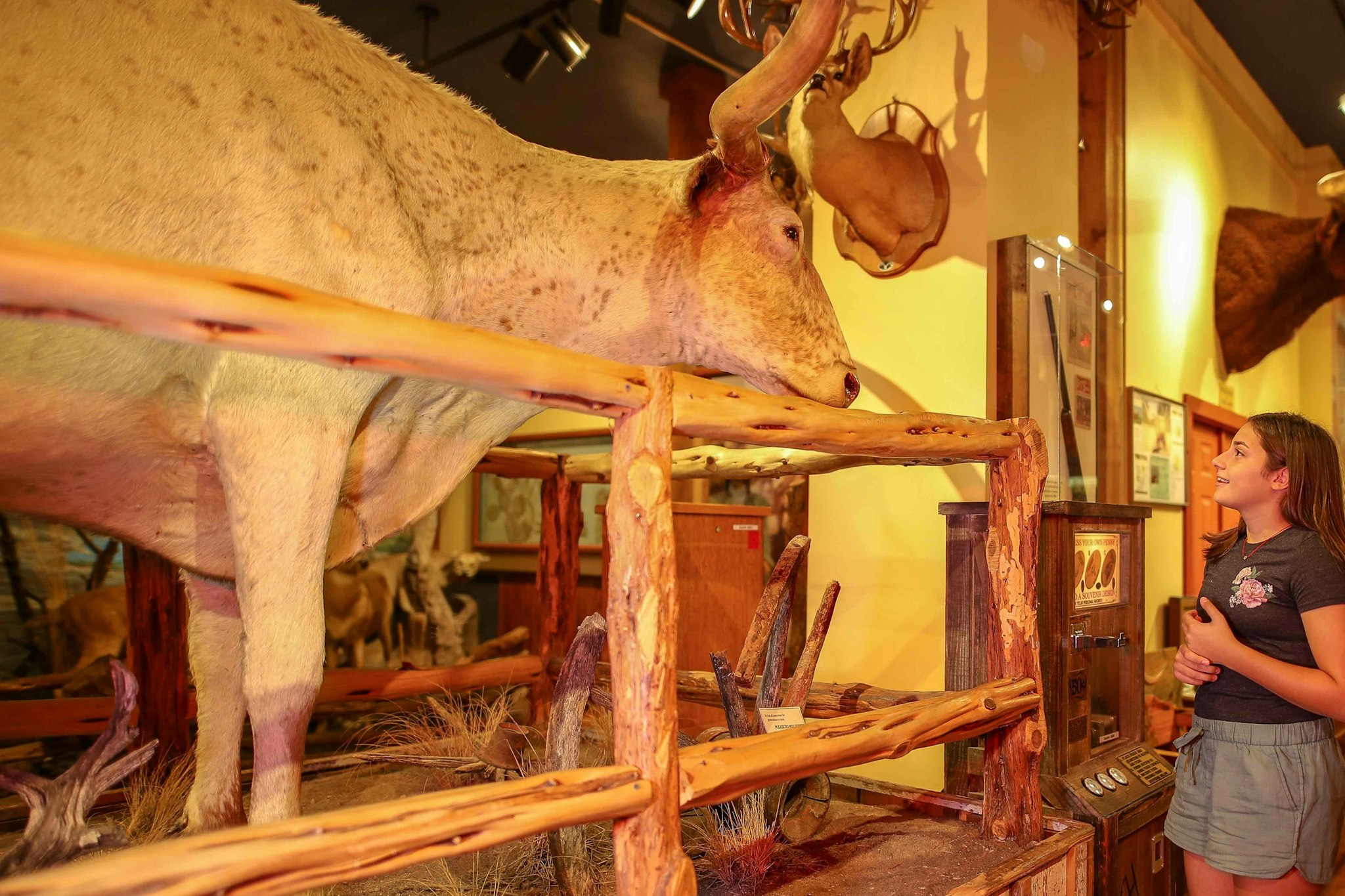 Ingresso al Buckhorn Saloon & Museum - Visita The Buckhorn Saloon & Museum a San Antonio per vedere animali esotici, il Texas Ranger Museum e goderti lo storico saloon e caffè. Ingresso al Buckhorn Saloon & Museum - Immagine 4 di 5