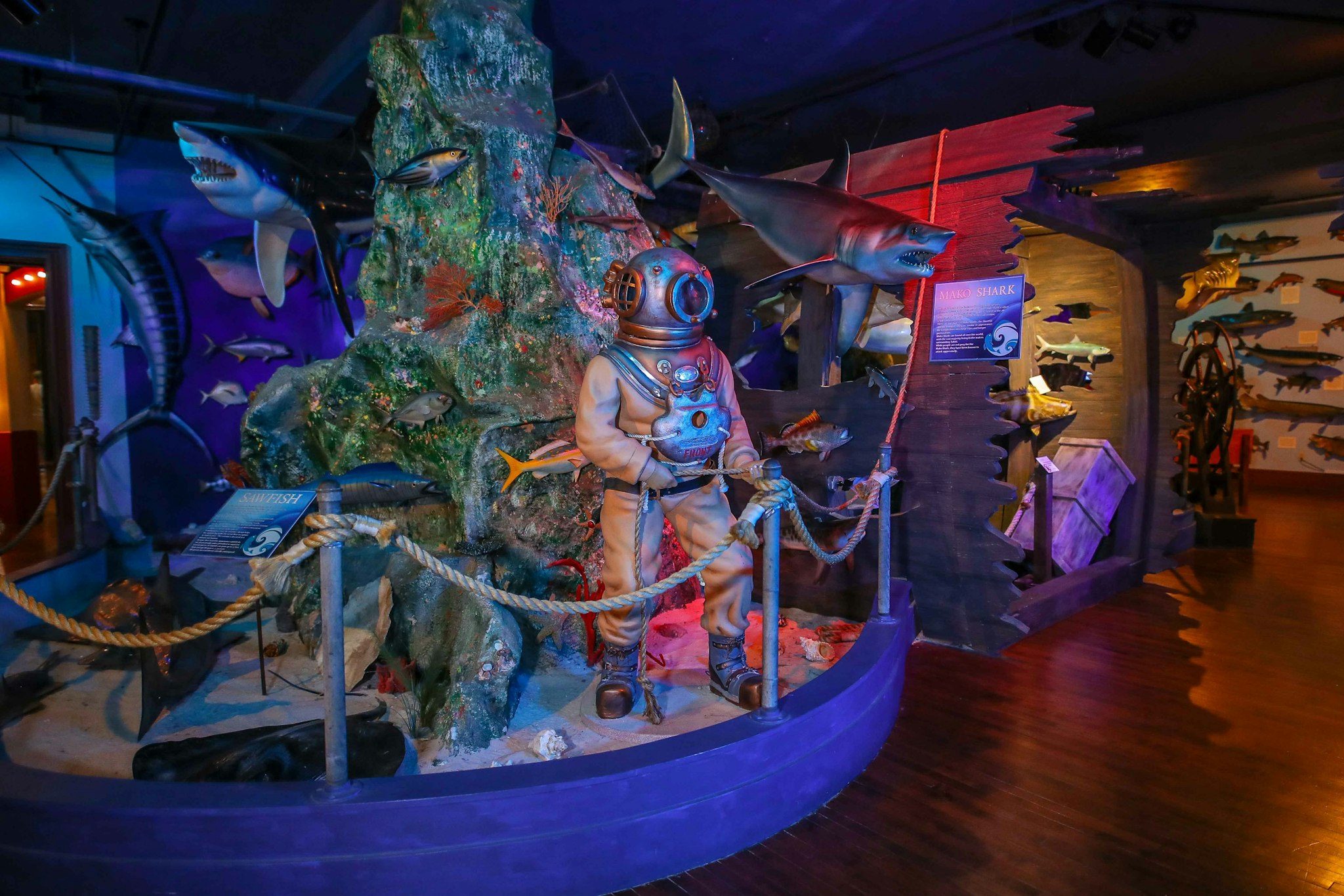 Ingresso al Buckhorn Saloon & Museum - Visita The Buckhorn Saloon & Museum a San Antonio per vedere animali esotici, il Texas Ranger Museum e goderti lo storico saloon e caffè. Ingresso al Buckhorn Saloon & Museum - Immagine 2 di 5