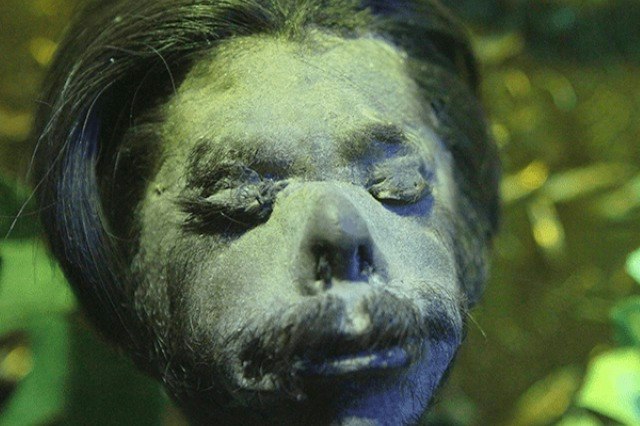 Pass per 4 Attrazioni di Ripley's Believe It or Not! - Visita quattro attrazioni di Ripley's a San Antonio al 307 Alamo Plaza, inclusi il museo, le statue di cera, il laboratorio delle illusioni e il simulatore di movimento. Pass per 4 Attrazioni di Ripley's Believe It or Not! - Immagine 2 di 5