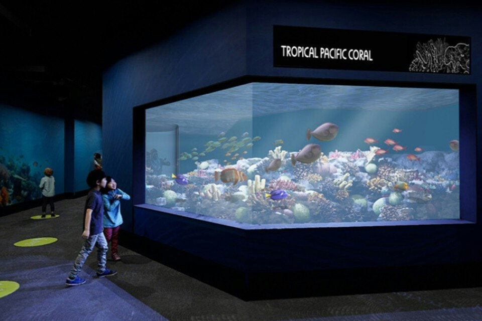 白桦水族馆 - 图片 4 的 5