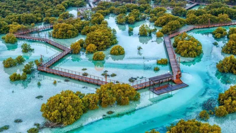 Jubail Mangrove Park