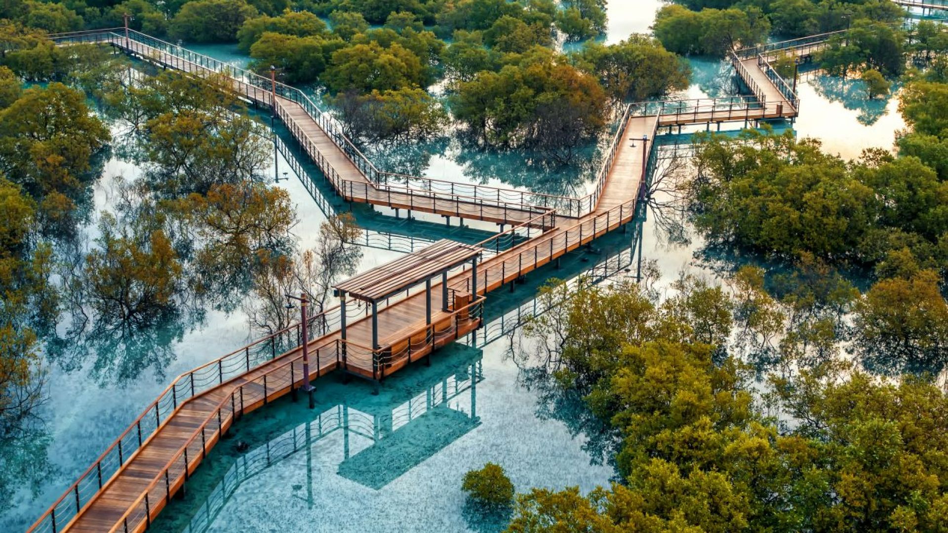 Jubail Mangrove Park - Walk the 2-km boardwalk at Jubail Mangrove Park and explore three trails with marine life and mangrove education stations in Abu Dhabi. Jubail Mangrove Park - Image 3 of 5