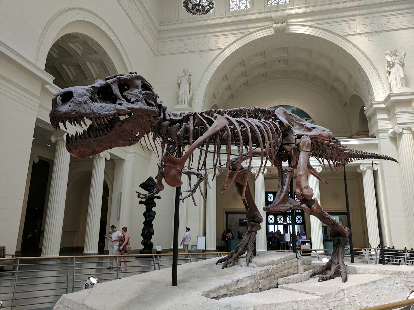 متحف شيكاغو للأطفال - استكشف المعارض التفاعلية مثل __Dinosaur Excavation__ و __Tinkering Lab__ المصممة للأطفال والعائلات في شيكاغو. متحف شيكاغو للأطفال - صورة 5 من 5