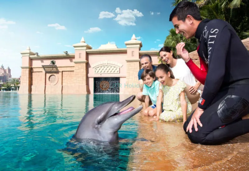 Atlantis Seelöwe Treffen & Begrüßung