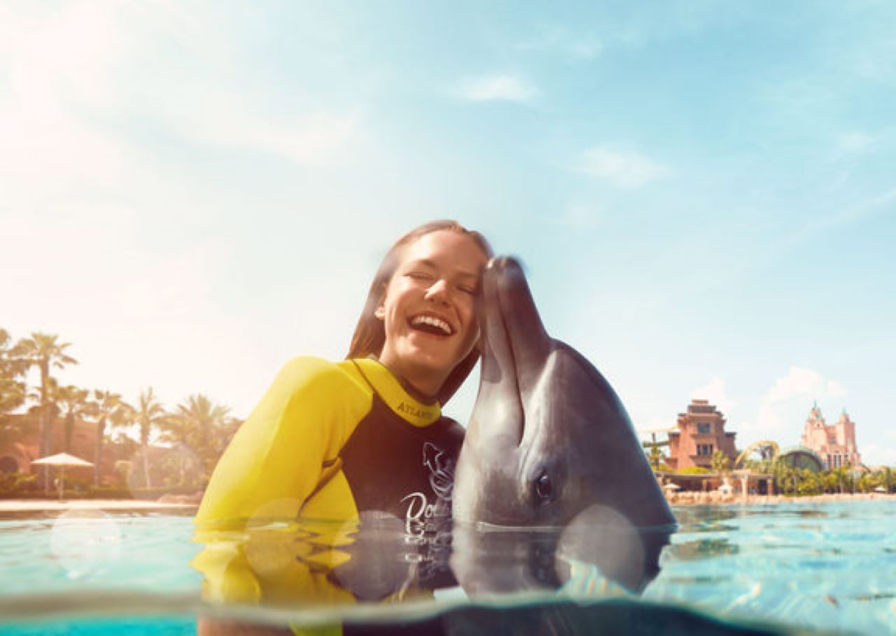 Atlantis Seelöwe Treffen & Begrüßung - Treffen Sie verspielte südafrikanische Pelzrobben im Atlantis, The Palm mit einer geführten Einführung und einem kostenlosen Foto inklusive. Atlantis Seelöwe Treffen & Begrüßung - Bild 2 von 5