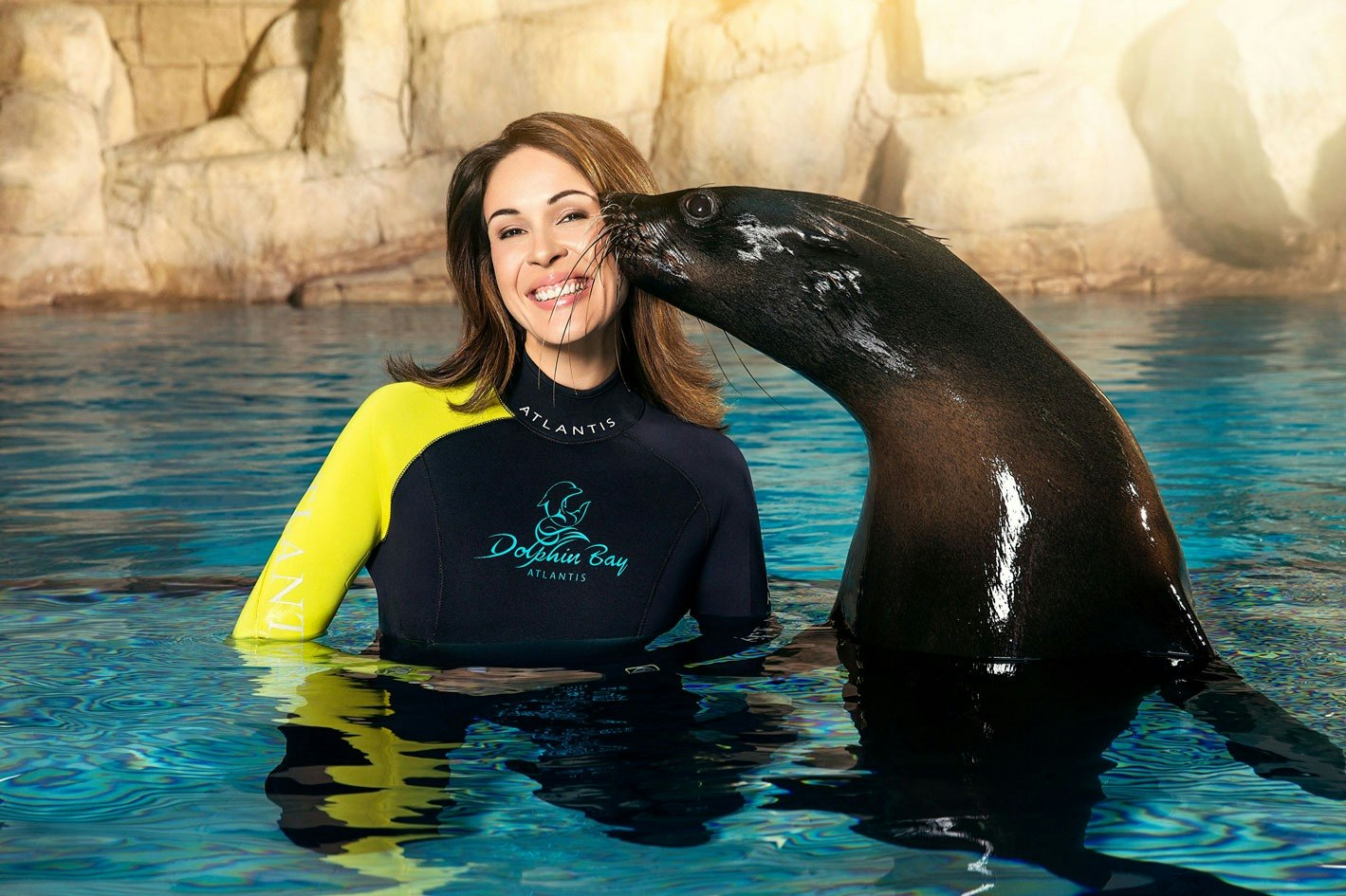 Atlantis Seelöwe Treffen & Begrüßung - Treffen Sie verspielte südafrikanische Pelzrobben im Atlantis, The Palm mit einer geführten Einführung und einem kostenlosen Foto inklusive. Atlantis Seelöwe Treffen & Begrüßung - Bild 1 von 5