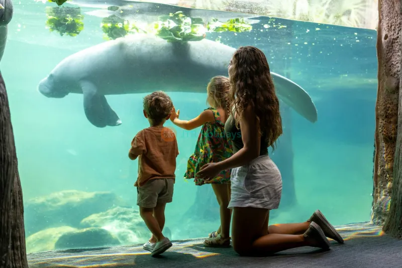 ZooTampa at Lowry Park und Florida Aquarium