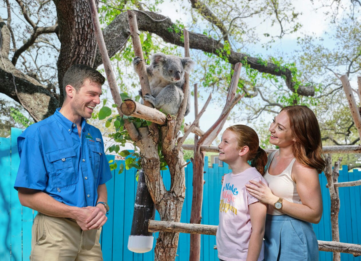 ZooTampa at Lowry Park und Florida Aquarium - Entdecken Sie mit einem Ticket in Tampa die Fahrgeschäfte und die Safari-Tour von ZooTampa sowie die Ausstellungen und Streichelbecken des Florida Aquariums. ZooTampa at Lowry Park und Florida Aquarium - Bild 1 von 5