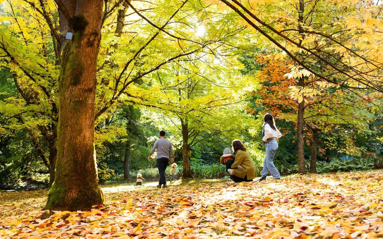 VanDusen Botanical Garden Vancouver - Verken 22 hectare tuinen in Vancouver met meer dan 7.500 planten en het Elizabethan Hedge Maze. Geniet van rustige wandelingen en eetgelegenheden in de tuin. VanDusen Botanical Garden Vancouver - Afbeelding 1 van 5