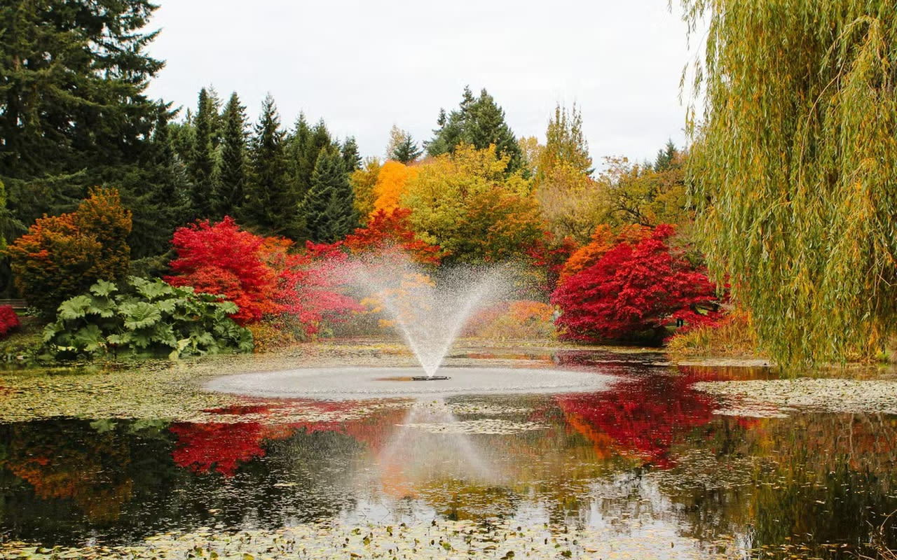 VanDusen Botanical Garden Vancouver - Verken 22 hectare tuinen in Vancouver met meer dan 7.500 planten en het Elizabethan Hedge Maze. Geniet van rustige wandelingen en eetgelegenheden in de tuin. VanDusen Botanical Garden Vancouver - Afbeelding 3 van 5