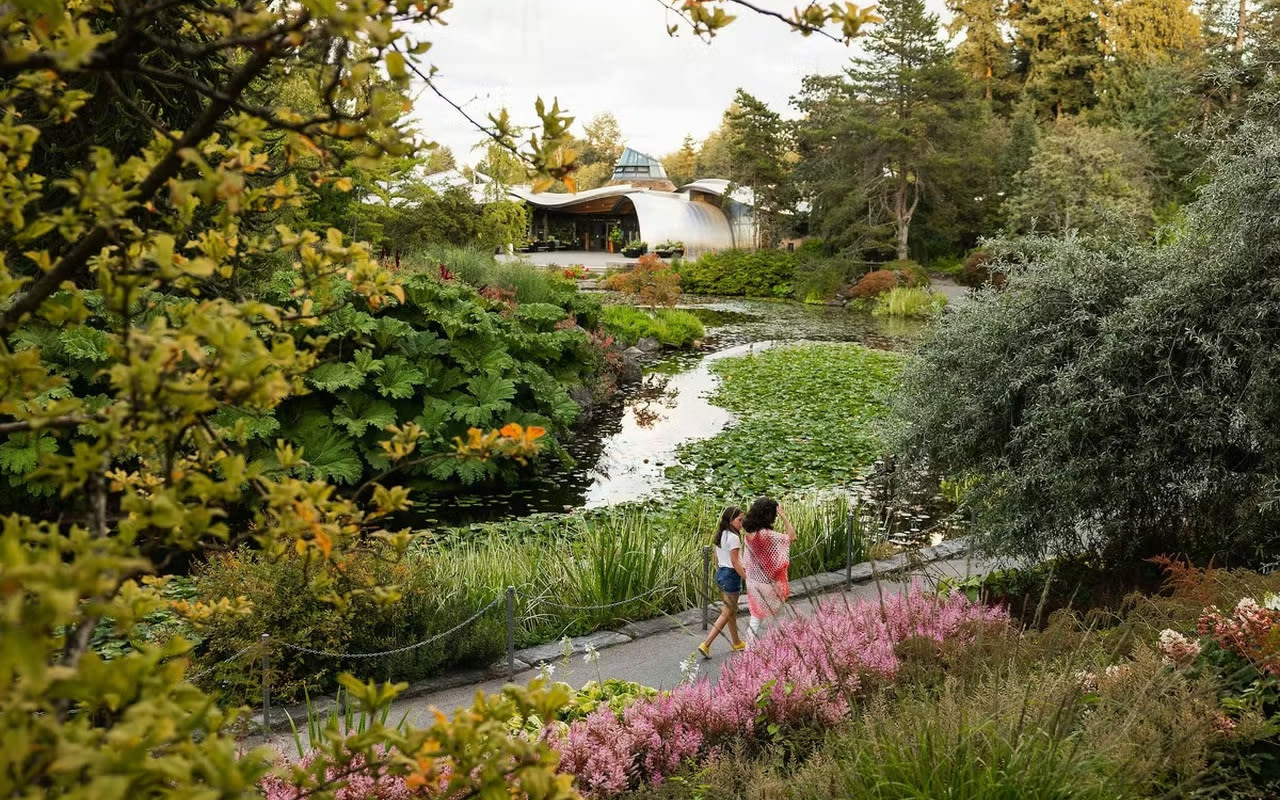 VanDusen Botanical Garden Vancouver - Verken 22 hectare tuinen in Vancouver met meer dan 7.500 planten en het Elizabethan Hedge Maze. Geniet van rustige wandelingen en eetgelegenheden in de tuin. VanDusen Botanical Garden Vancouver - Afbeelding 4 van 5