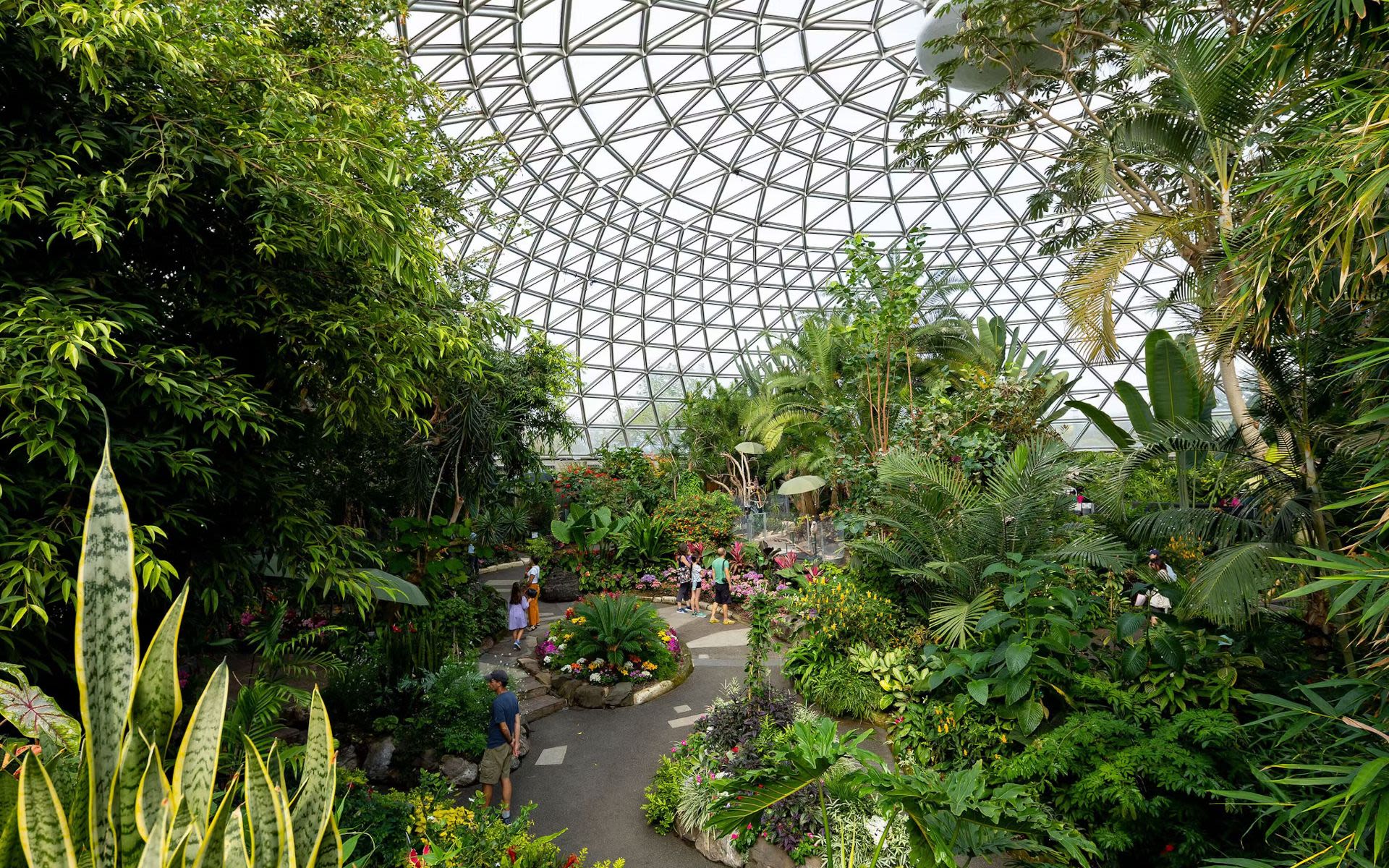 Bloedel Conservatory Vancouver - Ontdek drie tropische zones met exotische vogels, orchideeën en de oudste koi-karpers van Vancouver in het Bloedel Conservatory in Vancouver. Bloedel Conservatory Vancouver - Afbeelding 1 van 5