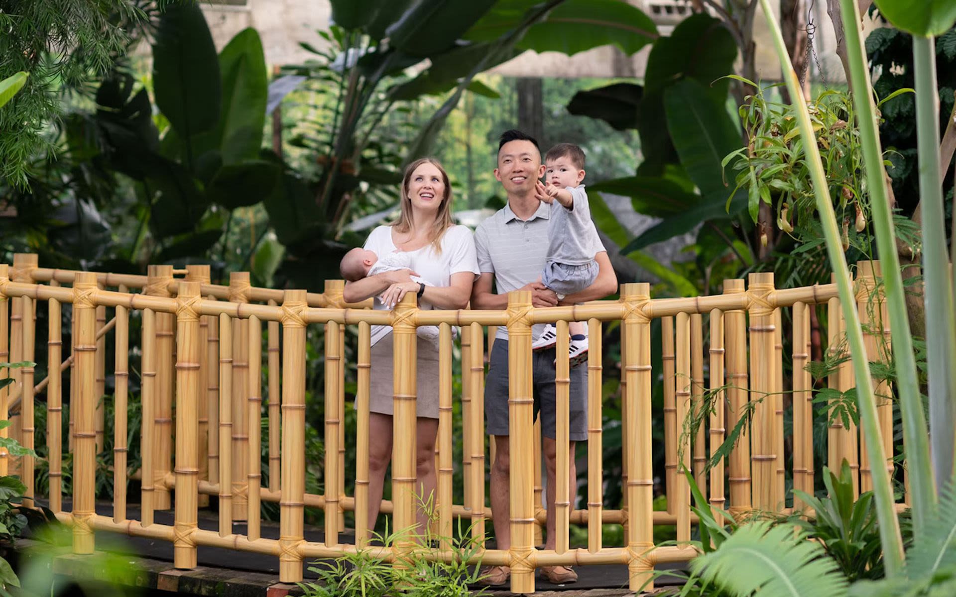 Bloedel Conservatory Vancouver - Ontdek drie tropische zones met exotische vogels, orchideeën en de oudste koi-karpers van Vancouver in het Bloedel Conservatory in Vancouver. Bloedel Conservatory Vancouver - Afbeelding 4 van 5