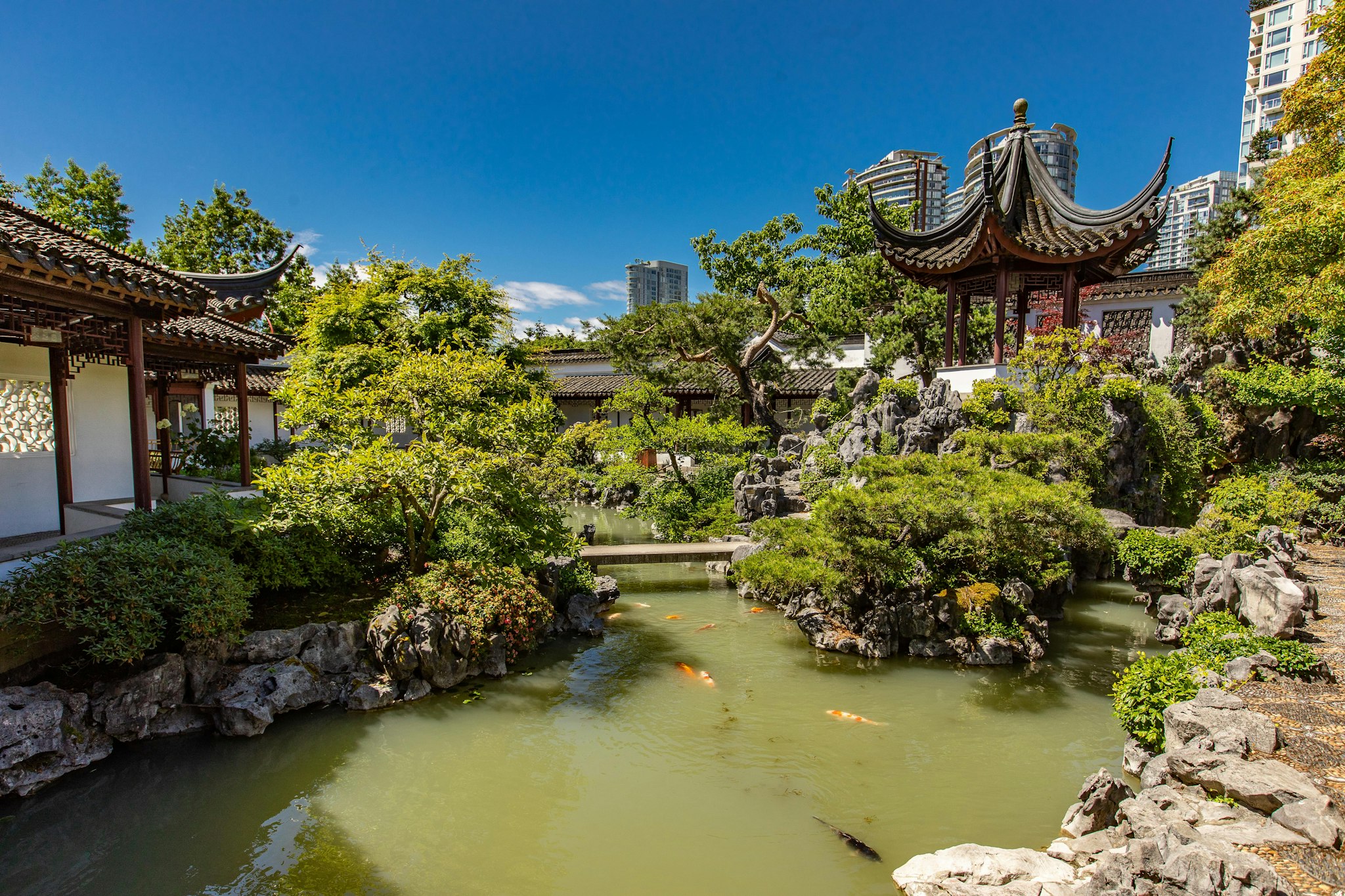 Dr. Sun Yat-Sen Klassieke Chinese Tuin - Verken deze authentieke tuin uit de Ming-dynastie met pagodes, koi-vijvers, bonsaibomen en geniet van gratis jasmijnthee tijdens uw bezoek. Dr. Sun Yat-Sen Klassieke Chinese Tuin - Afbeelding 1 van 5