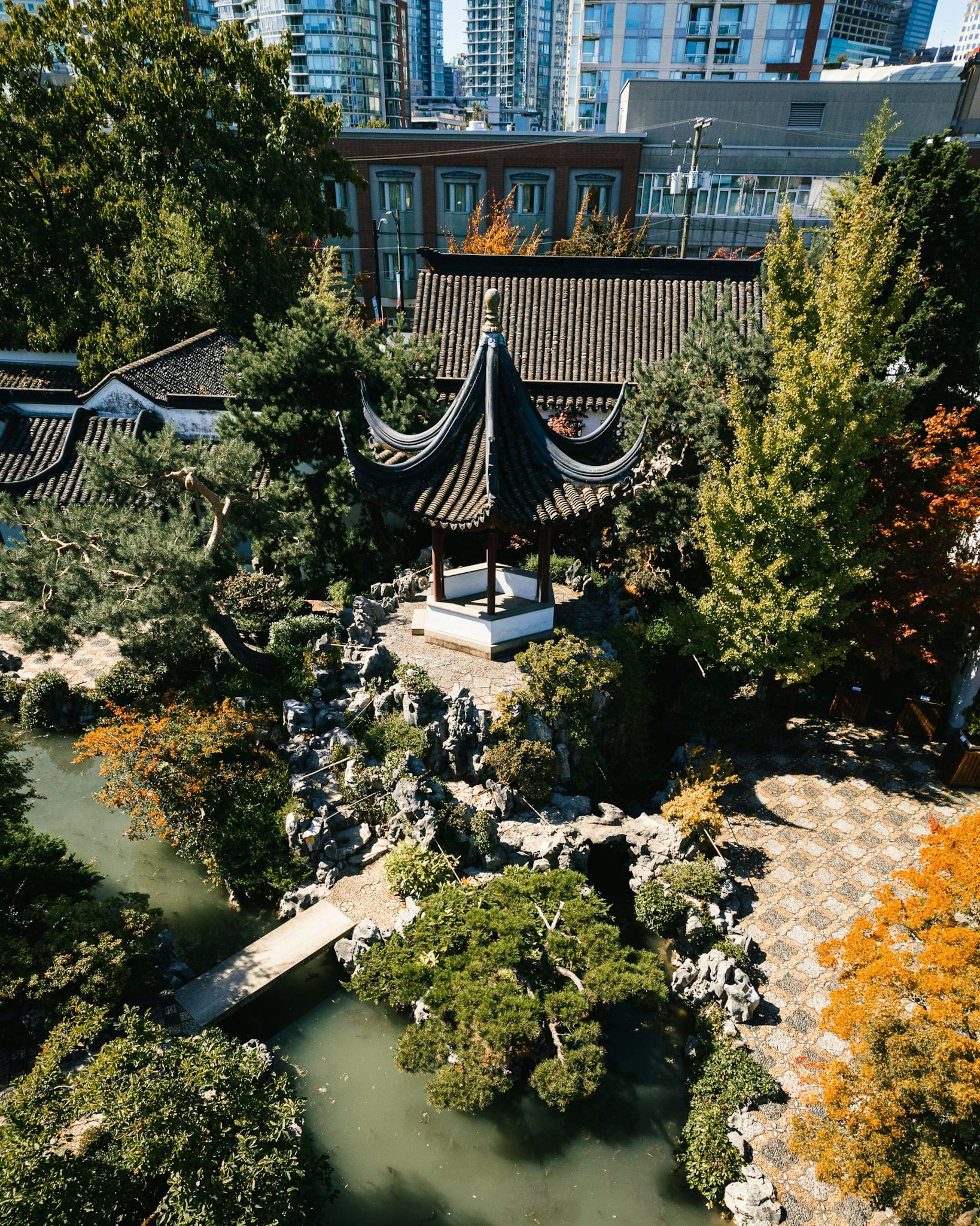 Dr. Sun Yat-Sen Klassieke Chinese Tuin - Verken deze authentieke tuin uit de Ming-dynastie met pagodes, koi-vijvers, bonsaibomen en geniet van gratis jasmijnthee tijdens uw bezoek. Dr. Sun Yat-Sen Klassieke Chinese Tuin - Afbeelding 5 van 5
