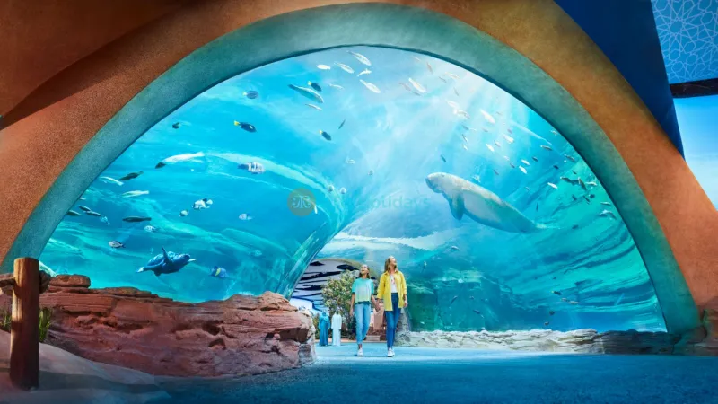 Abu Dhabi City Tour and SeaWorld Ticket