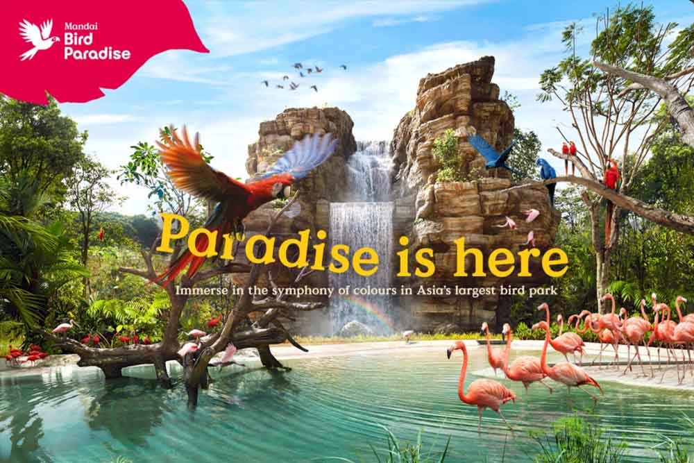Bird Paradise Singapore - Explore Asia’s largest bird paradise and you can see 5000 birds across 400 species. The park is spanning over 20.2 hectares of natural bird habitats and walk-in aviaries. You can enjoy a panoramic view of the park landscape, take photos for your memories and enjoy the birds flying everywhere around you. Bird Paradise Singapore - Image 2 of 5