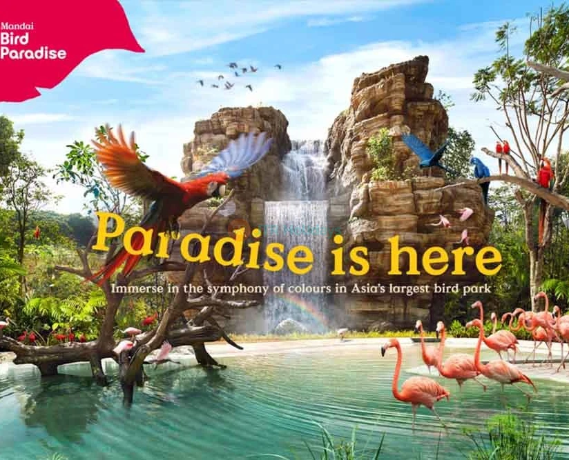 Bird Paradise Singapore - Image 2 of 5