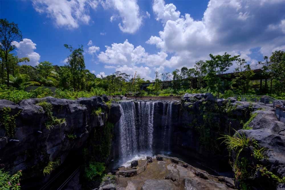 Bird Paradise Singapore - Image 5 of 8