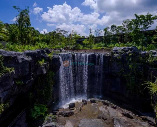 Bird Paradise Singapore - Image 5 of 5