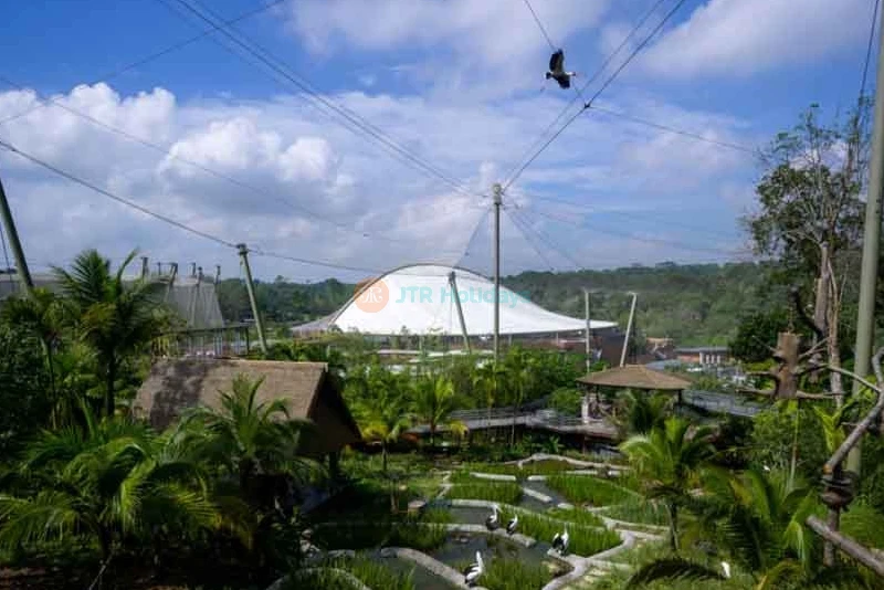 Bird Paradise Singapore - Image 7 of 8