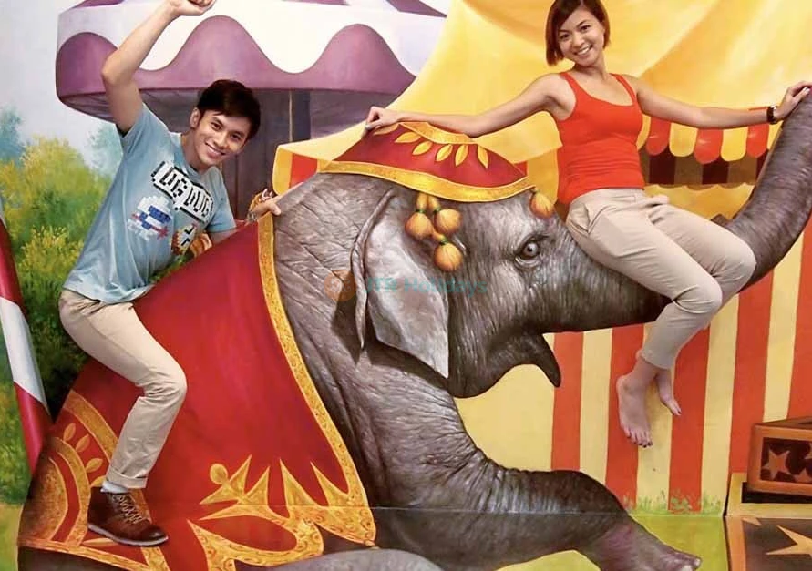 Museo Trick Eye Singapur - Image 8 of 8